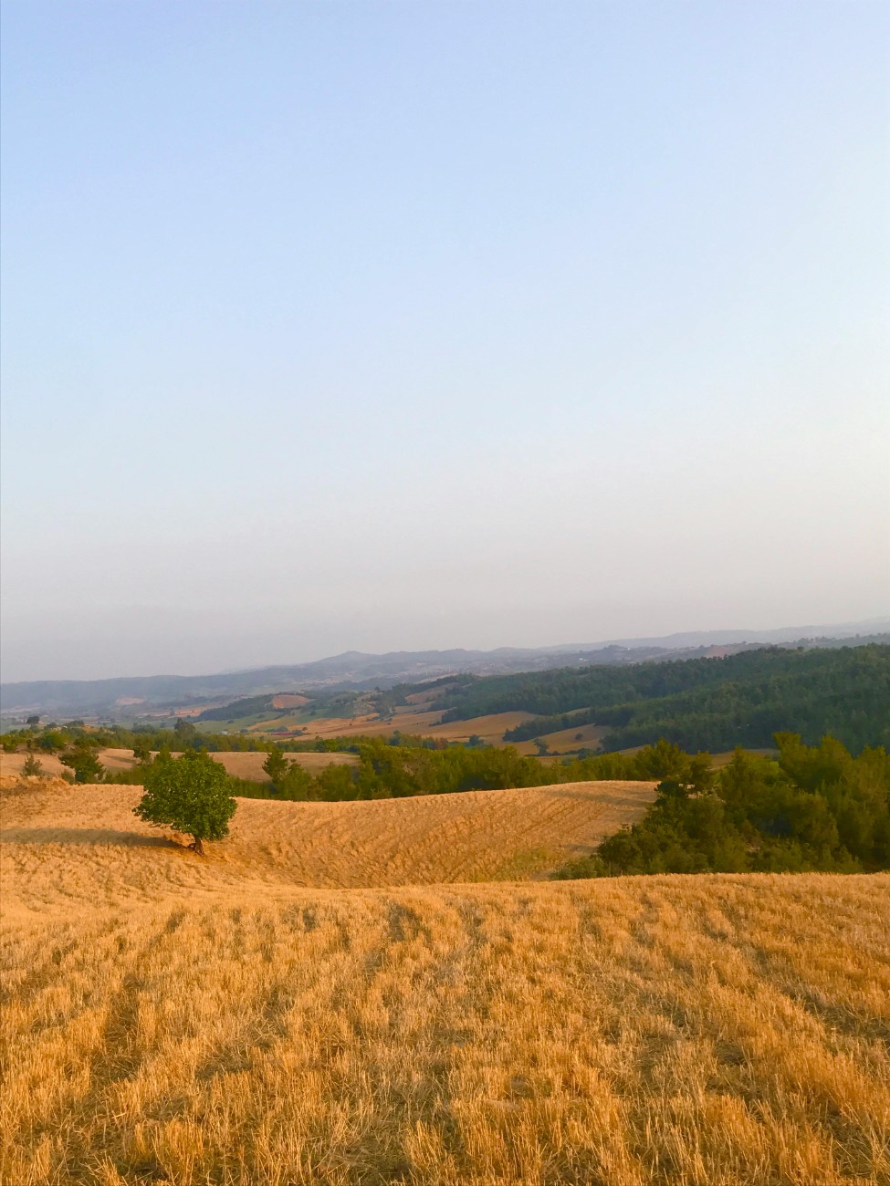 İlan Görsel 1